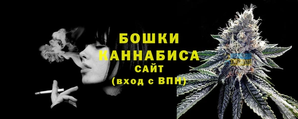 PSILOCYBIN Белоозёрский